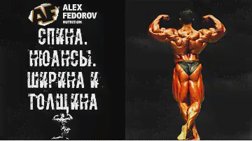 Спина. Нюансы. Ширина и толщина \ Back. The nuances.Width and thickness